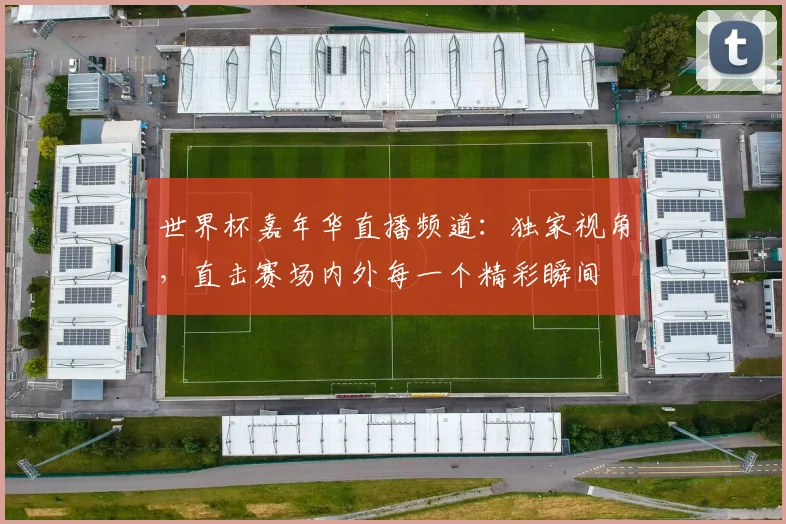 世界杯嘉年华直播频道：独家视角，直击赛场内外每一个精彩瞬间