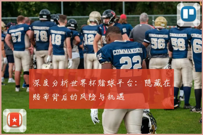深度分析世界杯赌球平台：隐藏在赔率背后的风险与机遇