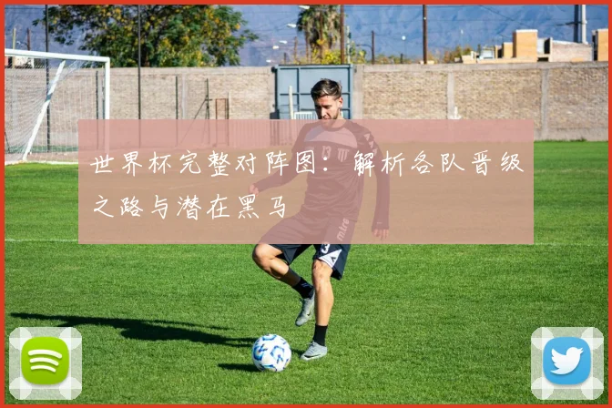 世界杯完整对阵图：解析各队晋级之路与潜在黑马