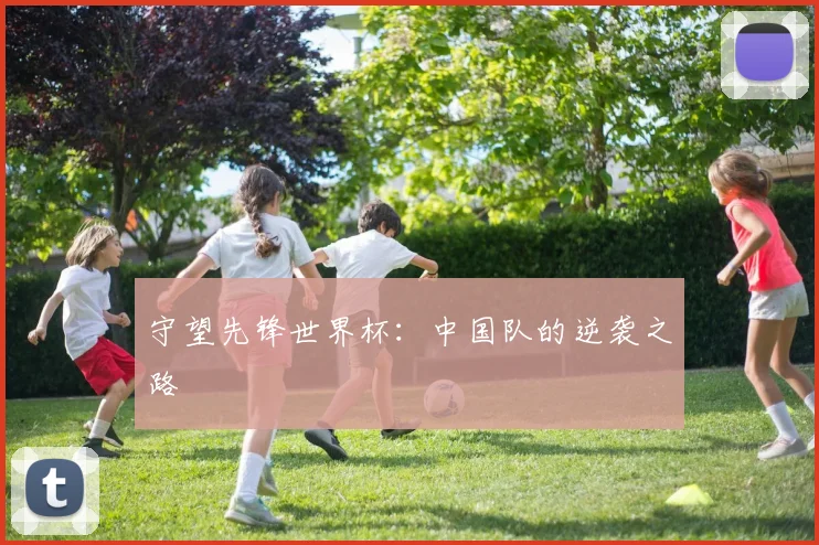 守望先锋世界杯：中国队的逆袭之路